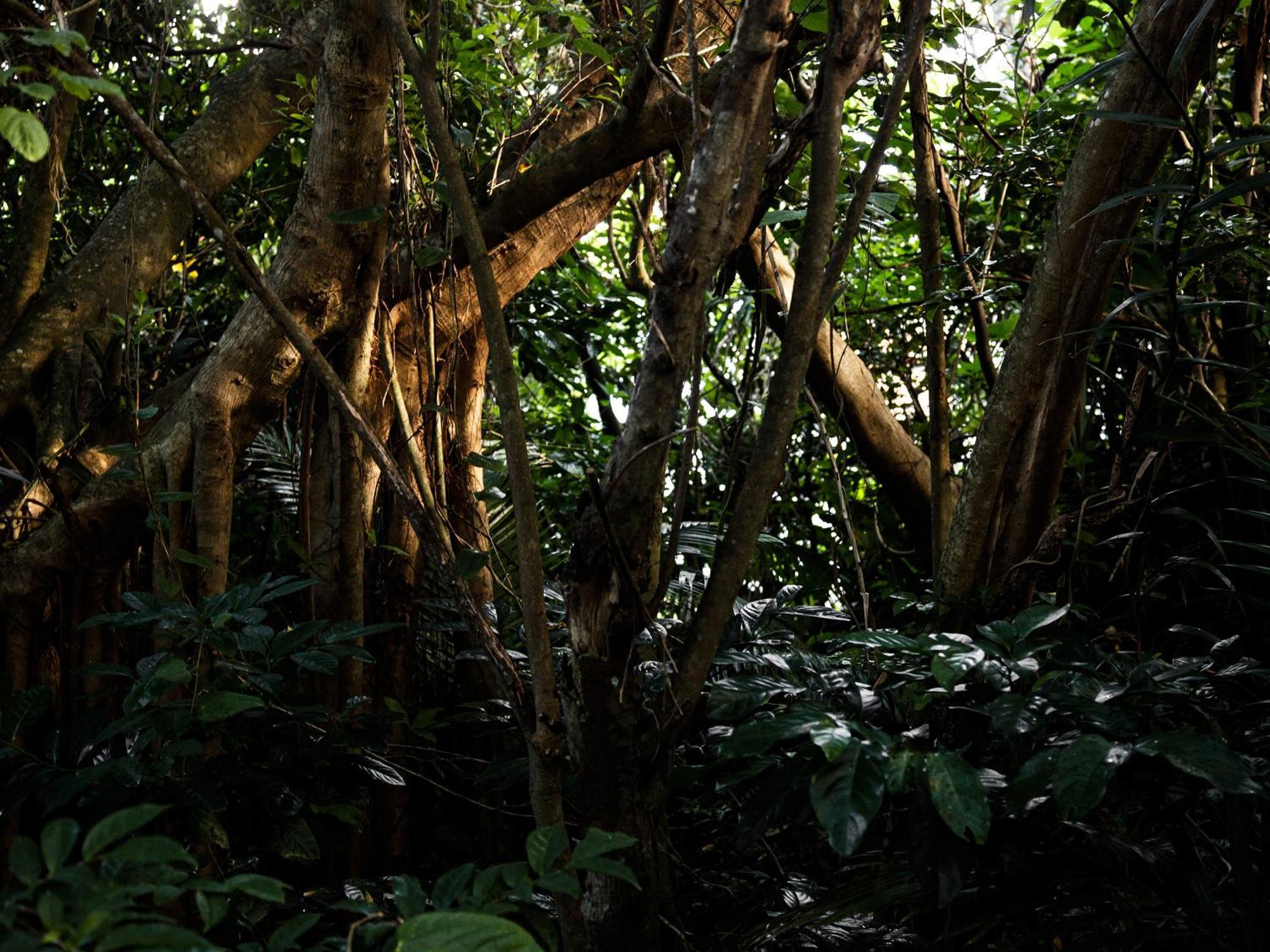 Jusandi Ishigaki  Extérieur photo